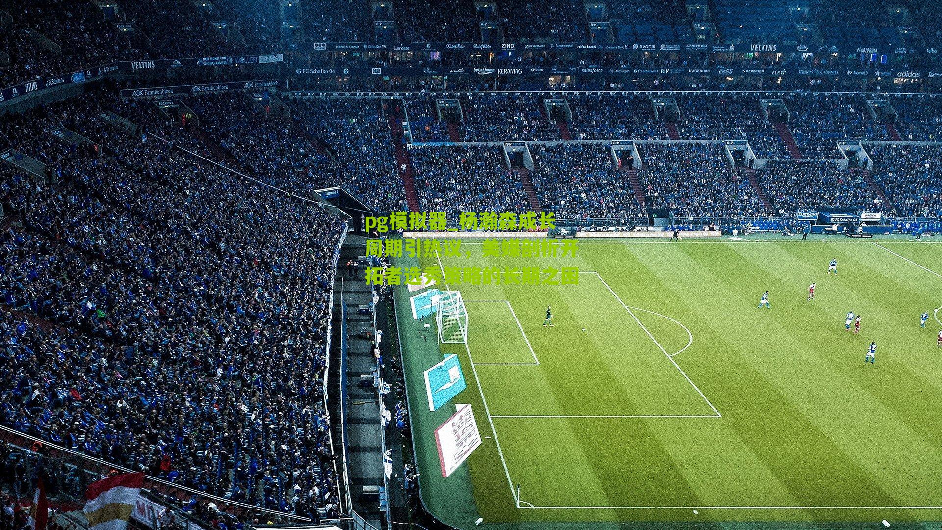 杨瀚森成长周期引热议，美媒剖析开拓者选秀策略的长期之困